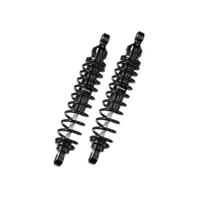 COPPIA-REG:PRECARICO